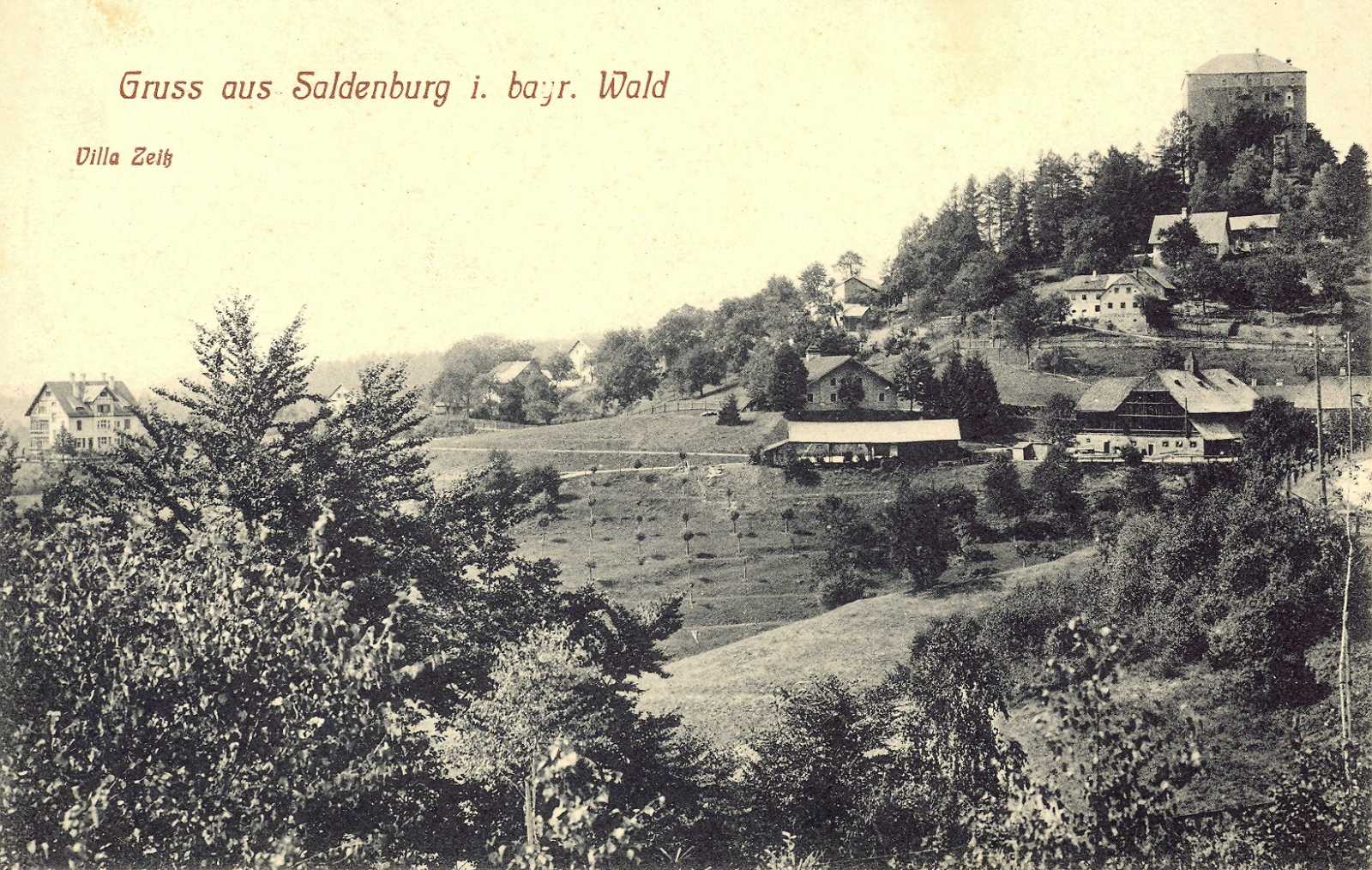 Blick auf die Saldenburg.